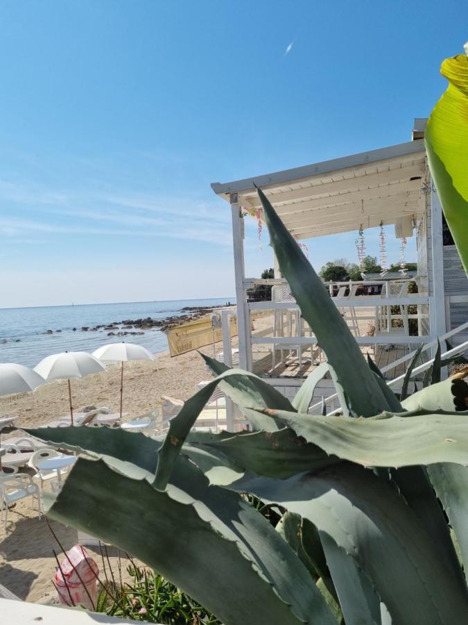 Sea View App Mirta Daire Umag Dış mekan fotoğraf